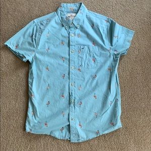 Hollister flamingo polo